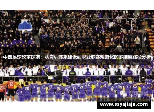 中国足球改革探索：从青训体系建设到职业联赛规范化的多维度路径分析