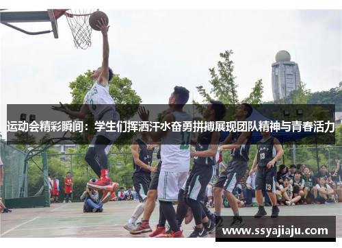 运动会精彩瞬间：学生们挥洒汗水奋勇拼搏展现团队精神与青春活力