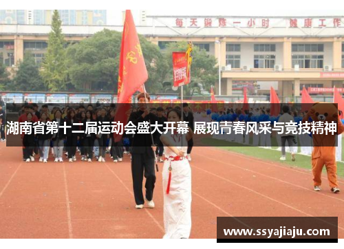 湖南省第十二届运动会盛大开幕 展现青春风采与竞技精神