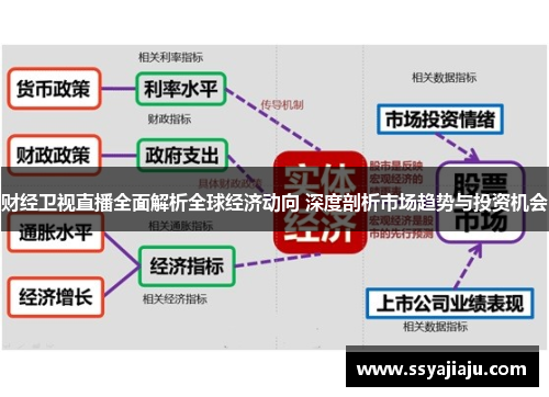 财经卫视直播全面解析全球经济动向 深度剖析市场趋势与投资机会