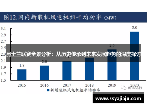 昆士兰联赛全景分析：从历史传承到未来发展趋势的深度探讨