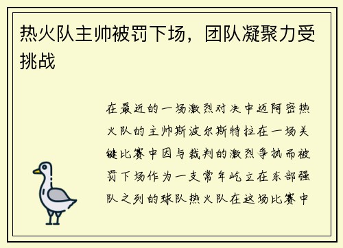 热火队主帅被罚下场，团队凝聚力受挑战
